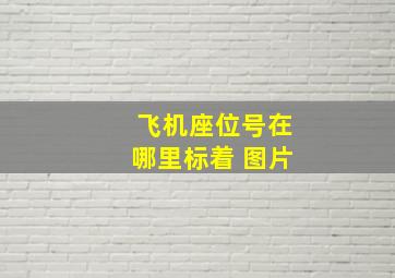 飞机座位号在哪里标着 图片